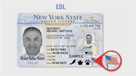 what does id mean.
